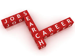 Career planning And Building Successful Professional Life